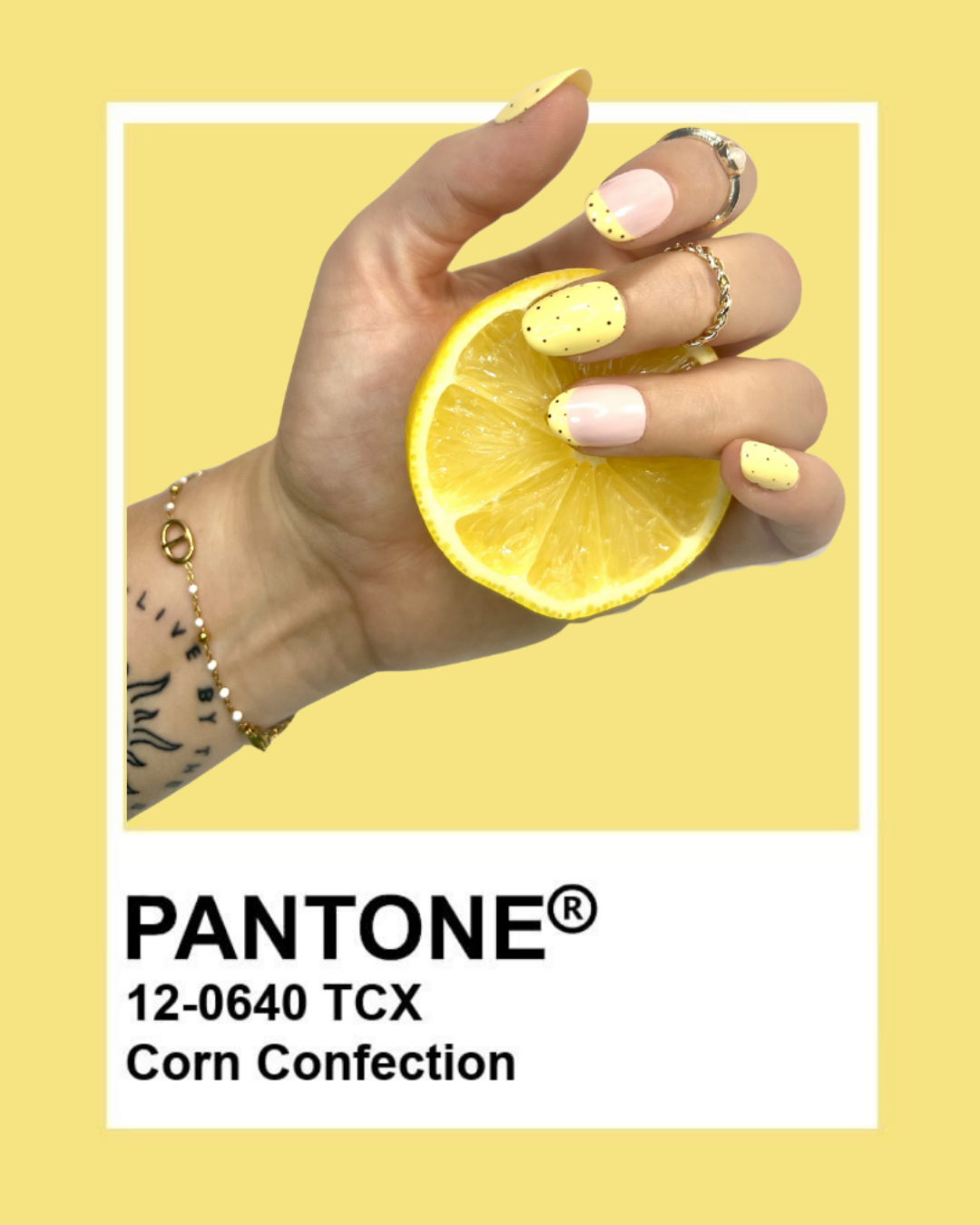 Set Citron Vanillé